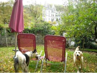 Belgie Romantische cottage DURBUY geweldig uitzicht omh.tuin honden=ok